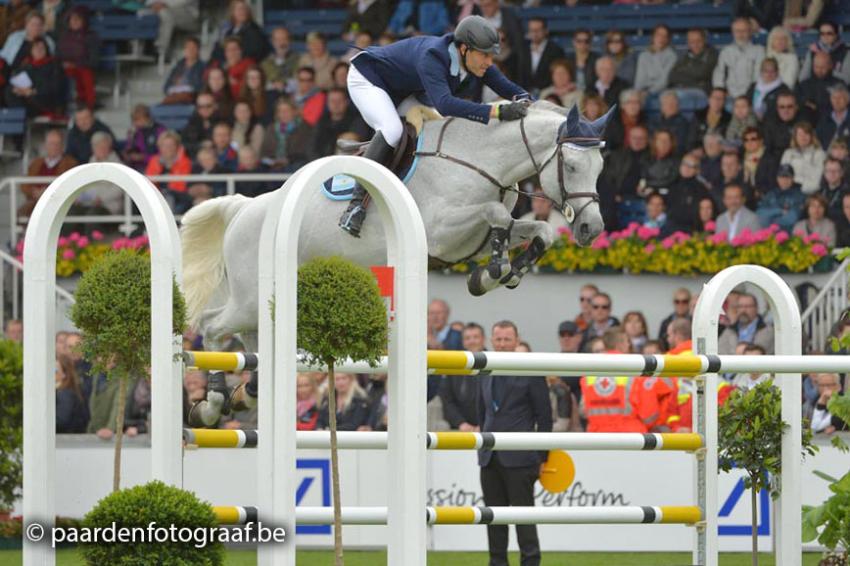 du Lys Z Obolensky x Champion du Lys) Indebus